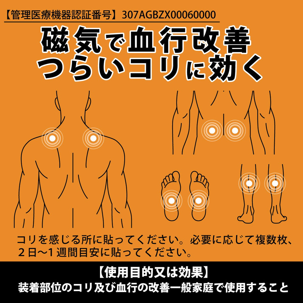 期間限定 特別価格 管理医療機器 プラズマグパッチ 体感お試しセット (送料無料) ※お一人様一回限り