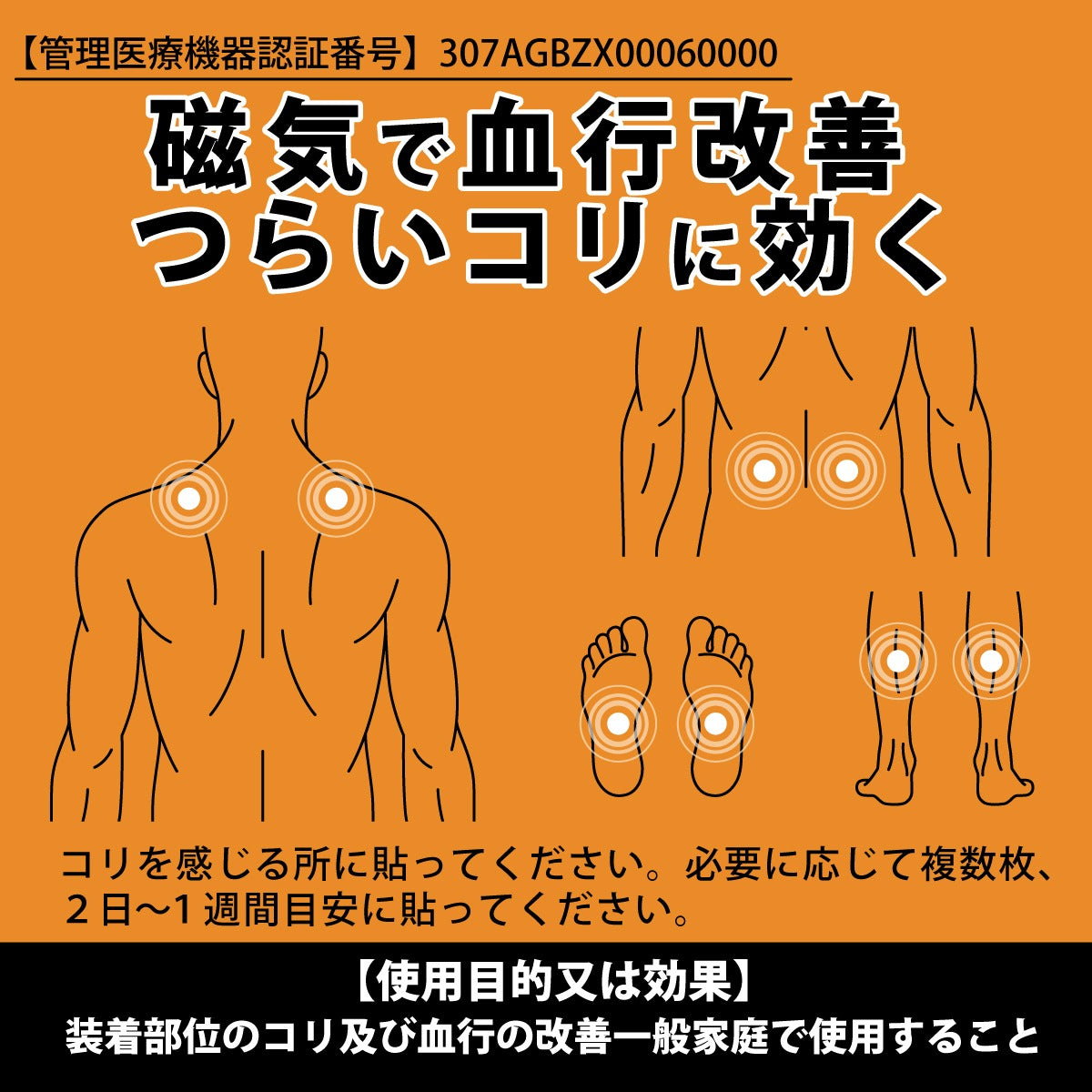 期間限定 特別価格 管理医療機器 プラズマグパッチ 体感お試しセット (送料無料) ※お一人様一回限り