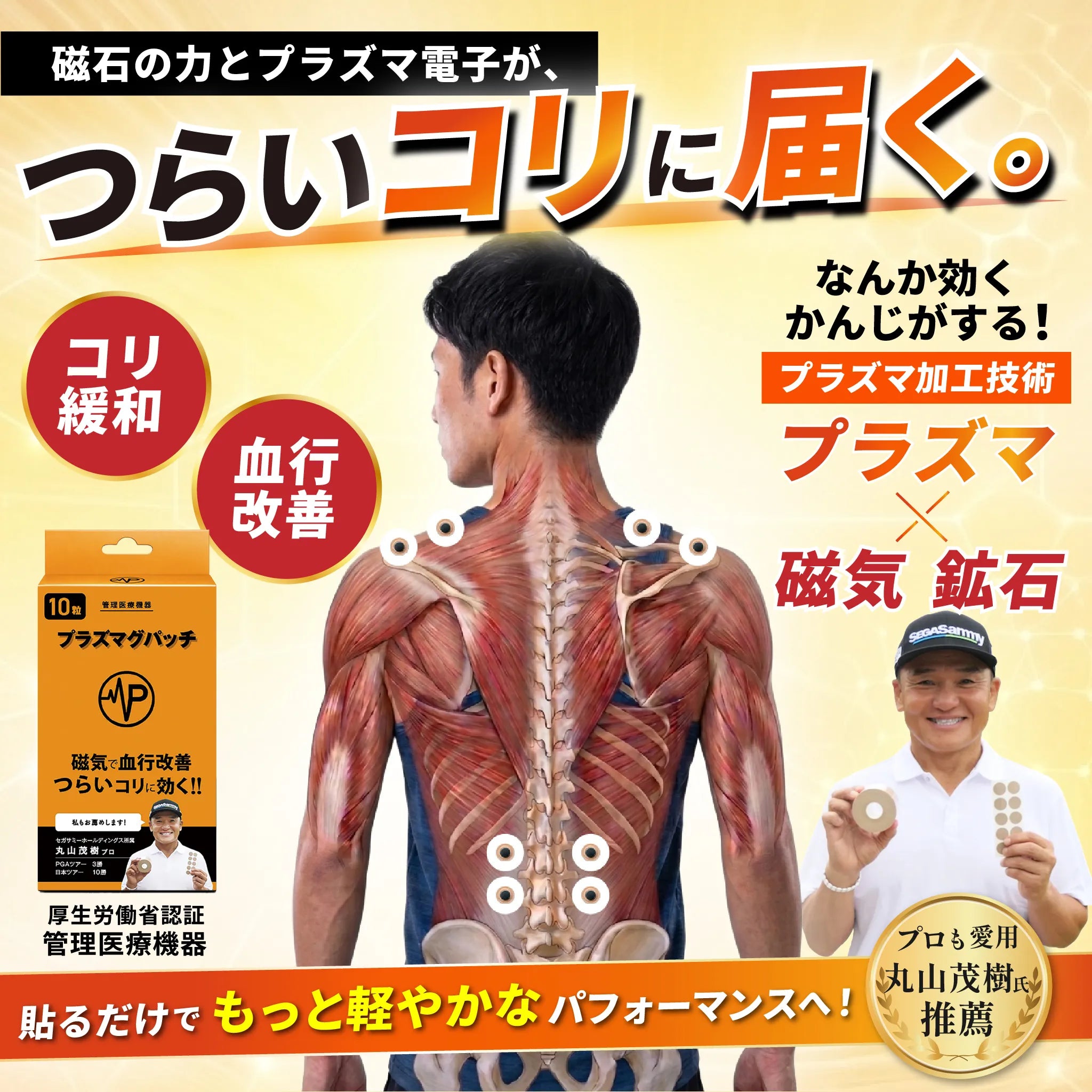 プラズマグパッチ 10粒入り 管理医療機器・磁気で血行改善、コリを緩和
