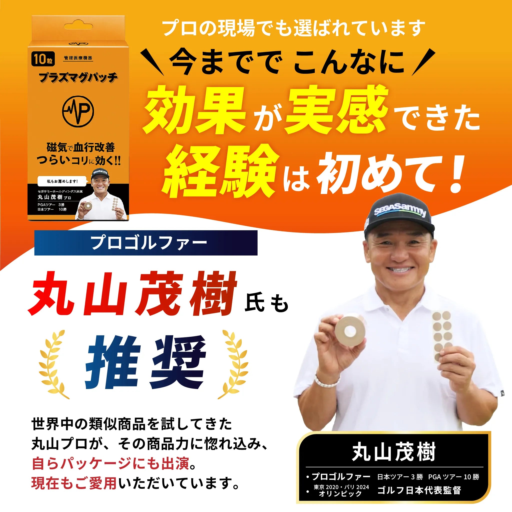プラズマグパッチ 10粒入り 管理医療機器・磁気で血行改善、コリを緩和
